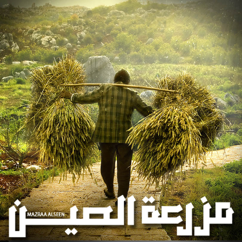 مزرعة الصين