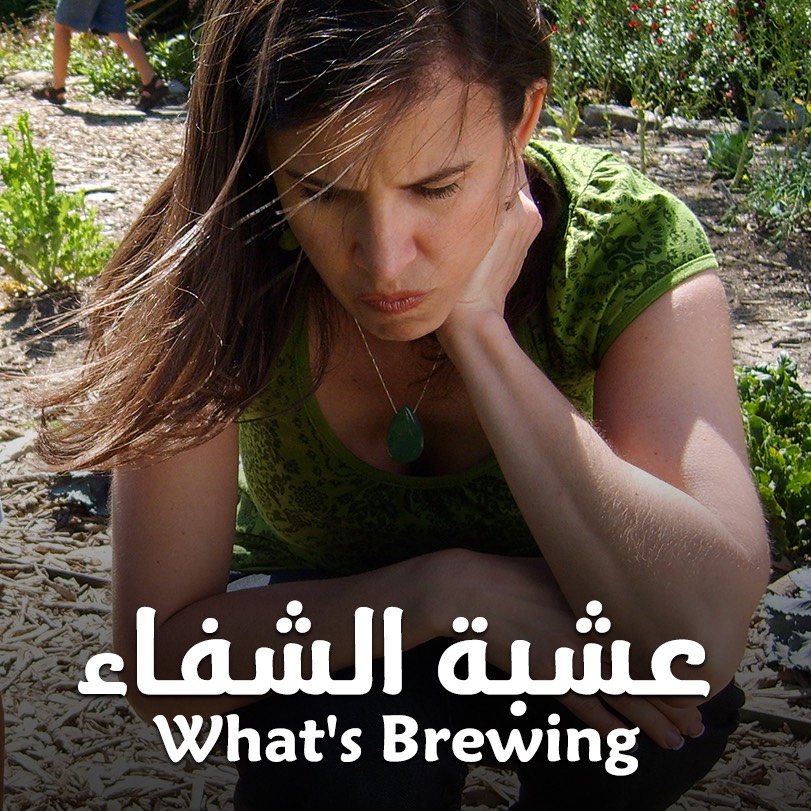 What´s Brewing