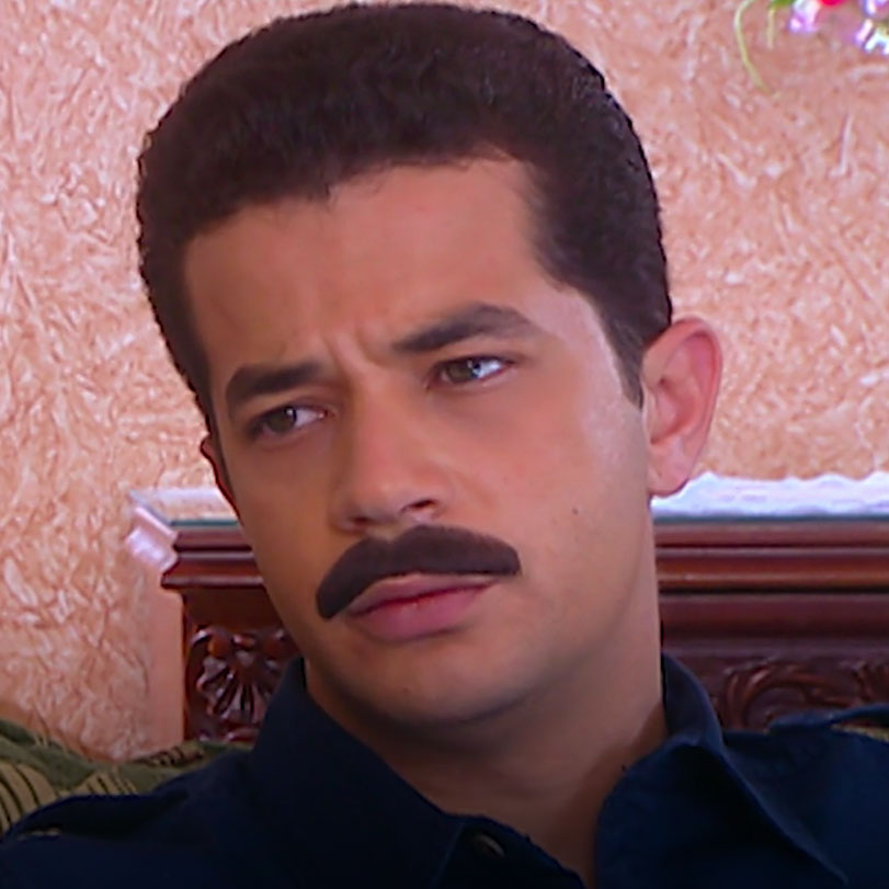 مسلسل مصري تدور أحداثه حول الحاج عبد الستار الذي يعمل في دباعة الجلود،